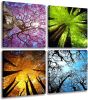 4 Panels Canvas Wall Art Spring Summer Autumn Winter Four Seasons Landscape Color Tree Painting Picture Prints Modern Giclee Artwork Stretched and Fra