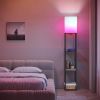 Floor Lamp with Shelves, Modern Square Standing Lamp with 3 Color Temperature Bulb, Corner Display Bookshelf Lamp